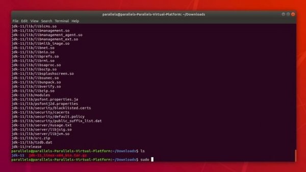 Java Development Kit: How to Install And Setup Java JDK 11 On Linux