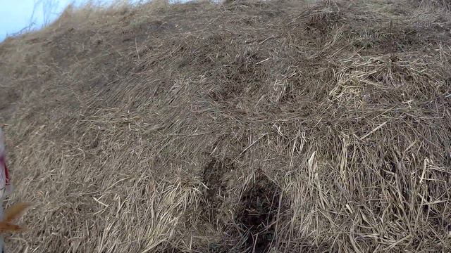 Эпическое фиаско на рыбалке в конце марта 2022. смотреть онлайн