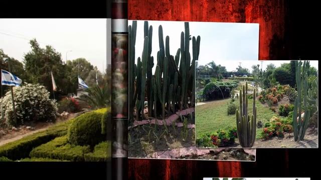 Парк орхидей "Утопия". Парки Израиля. Parks of Israel смотреть онлайн