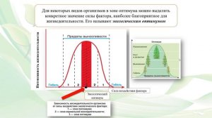 Тема 3. Закономерности воздействия факторов среды на организм. Пределы выносливости