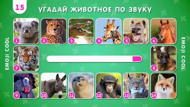 ВИКТОРИНА Какое это животное? Угадай наслух смотреть онлайн