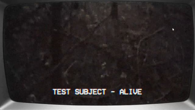 ПРОШЛИ ТЕСТ НА ПСИХОПАТА! (результат шокировал...) | Examination of Fear смотреть онлайн