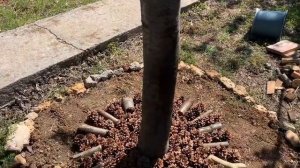 Природный декор для дачи