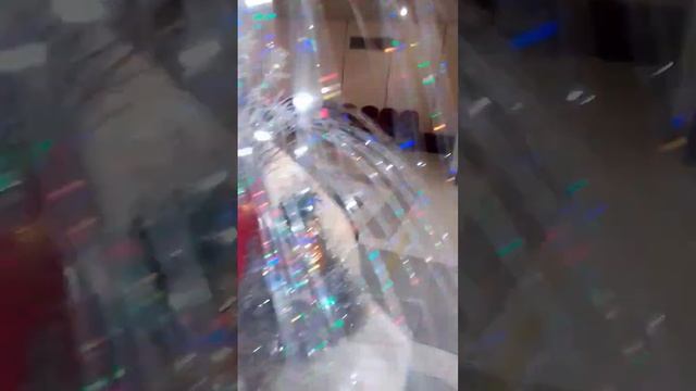 красивый северный олень смотреть онлайн
