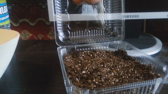 Ответ подписчикам (Венериной Мухоловки) смотреть онлайн