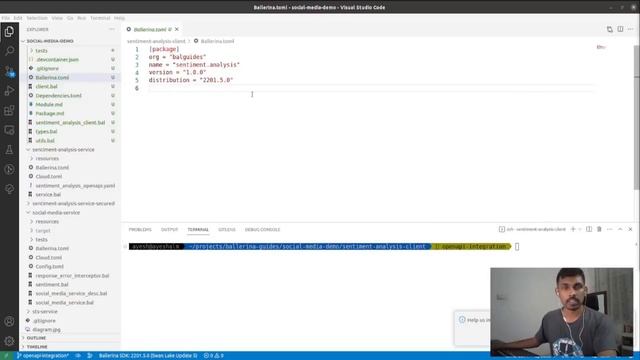 OpenAPI Spec Client Stubs and Central | Ballerina Programming Language смотреть онлайн