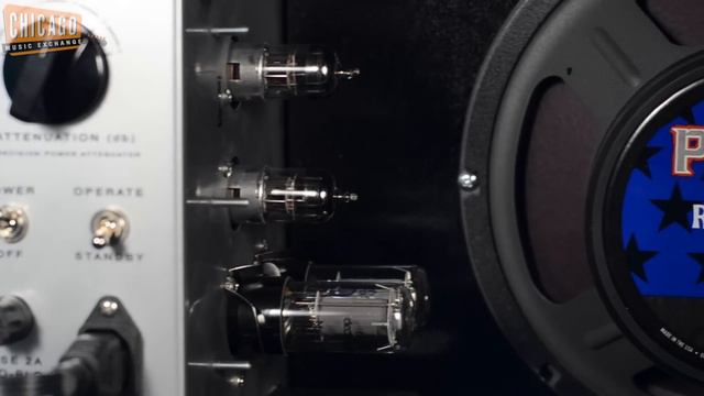 Tone King Falcon 12W 1x10 Combo in Turquoise/White | CME Gear Demo | Joel Bauman смотреть онлайн