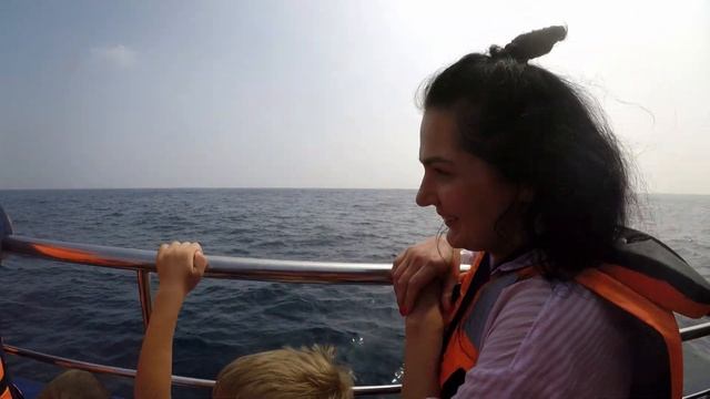 В погоне за синим китом в Индийском океане, Шри Ланка. смотреть онлайн