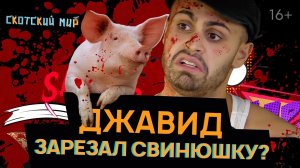 ДЖАВИД В СКОТСКОМ МИРЕ