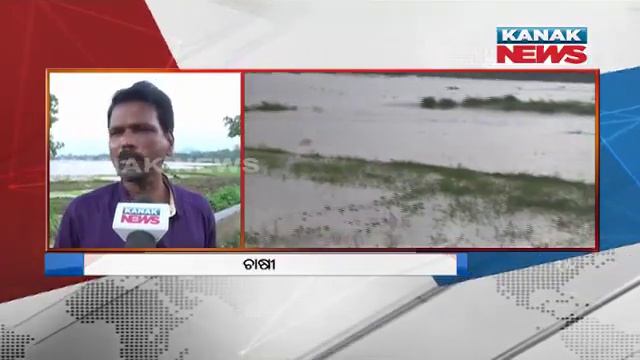 Submerged Crop Fields Brings Stress Among Farmers Of Rayagada смотреть онлайн
