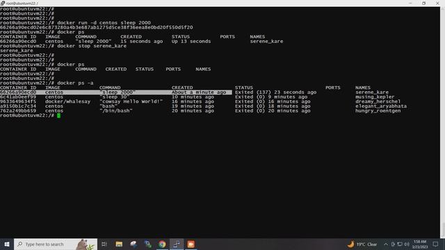 Docker Tutorial For Beginners | Docker Commands Explained | Docker Installation Linux | Docker Basi смотреть онлайн
