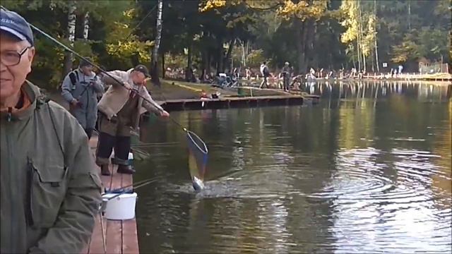 Поимки форели и на спиннинг и на бомбарду. Клёвое место. смотреть онлайн