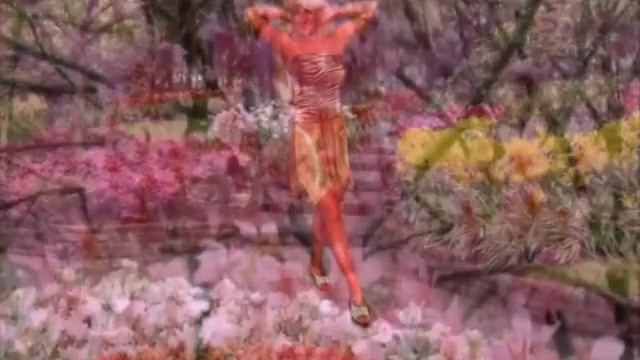 " Сады цветут" - О. Яровая. смотреть онлайн