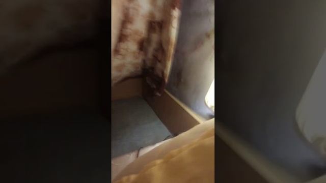 ДЕЛАЮ СЕБЕ НОРКУ/Квадробика смотреть онлайн