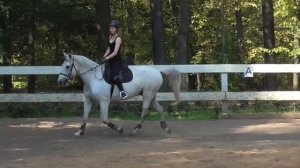 Строевая рысь. Учимся сопровождать движения лошади.