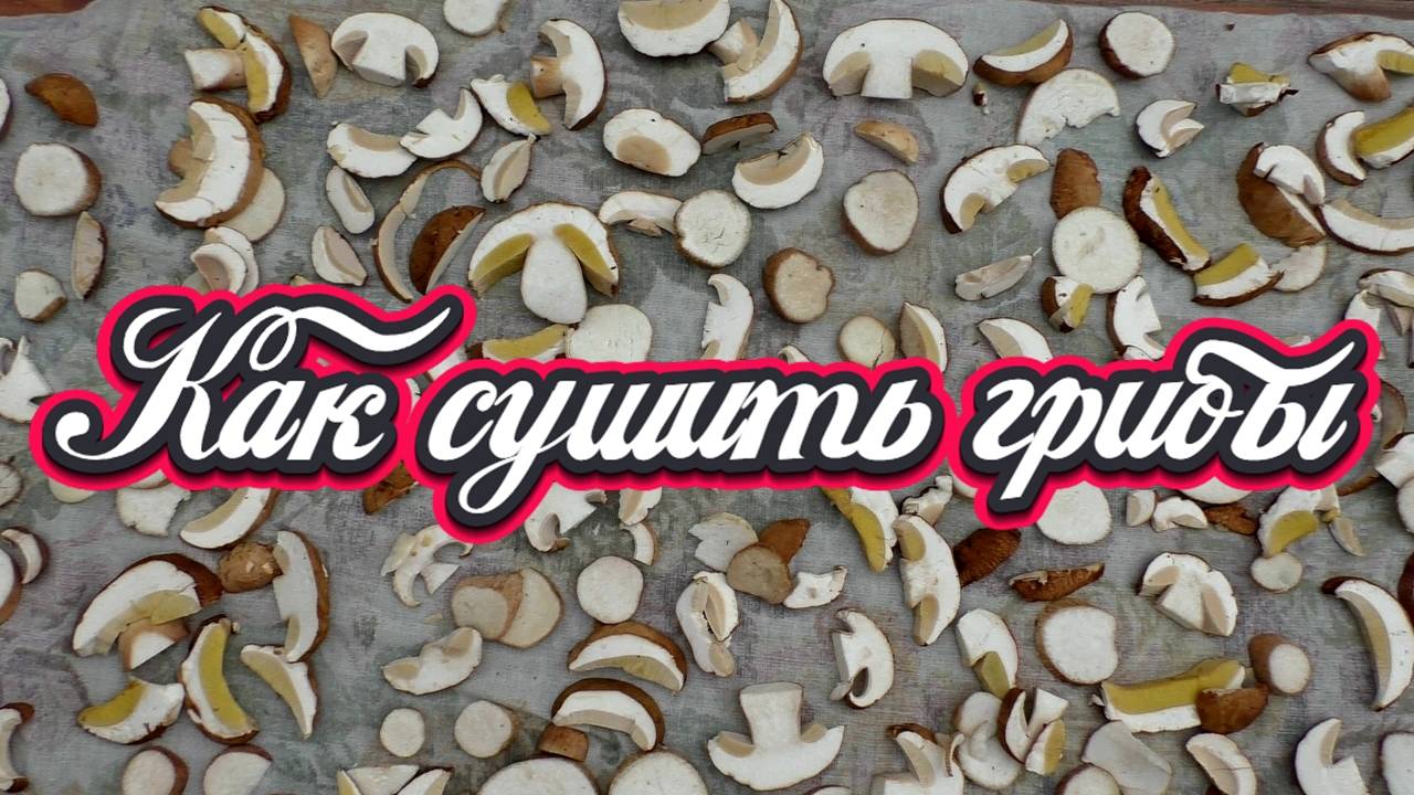 Как сушить грибы на зиму. Заготовка гриба на зиму. Сушка гриба - простой рецепт смотреть онлайн