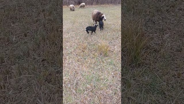 Нам одна неделя.