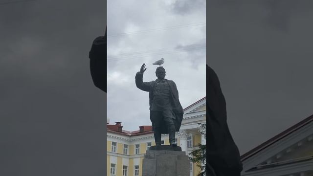 Чайка на голове памятника Кирову?#мурманск #shorts #short #shortvideo #shortsvideo смотреть онлайн