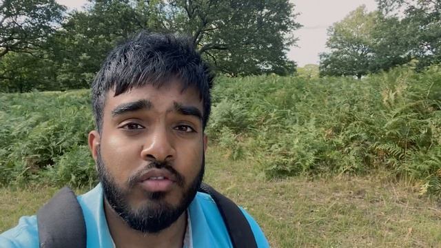 Richmond Park смотреть онлайн