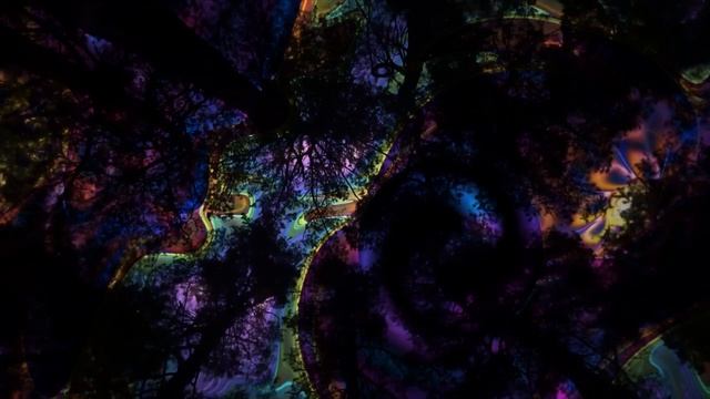 Варганы, соловьи, тампура + биение сердца.. Psychedelic Jaw-Harp. смотреть онлайн