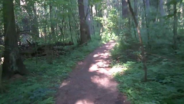 Аксаково. Лесная тропа смотреть онлайн