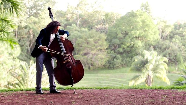 CONCIERTO PARA CONTRABAJO Y ORQUESTA EN MI MAYOR. KARL DITTERS VON DITTERSDORF. DANIEL CERÓN смотреть онлайн