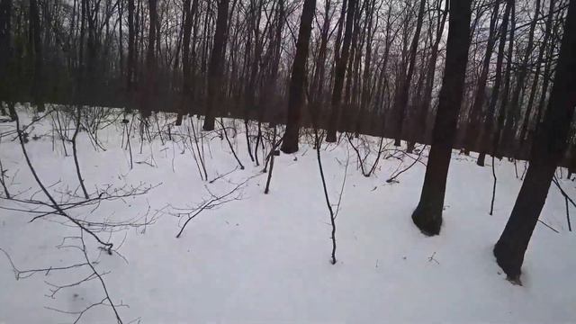 Чай из снега. Масленица в лесу возле Пирогово!