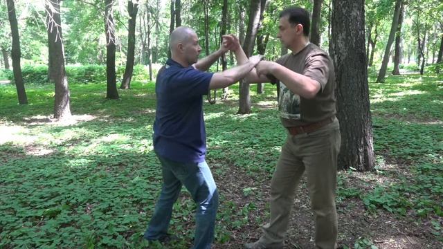 Ицюань Туйшоу-2015 (2). Шаг за шагом. Дань Туйшоу (1-й вариант)