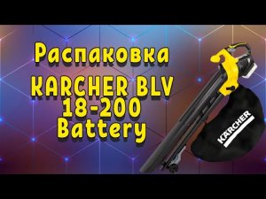 Обзор и распаковка Аккумуляторной воздуходувки Karcher BLV 18-200 Battery.mp4