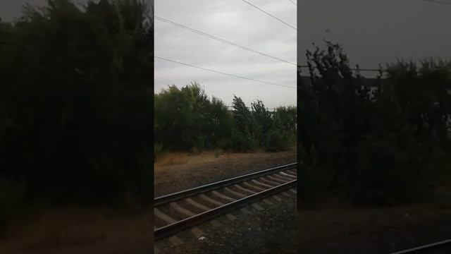 Дорога на море.Воронеж из окна поезда.04.09.2020 смотреть онлайн