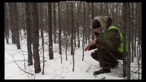 Как поставить петли на зайца ,часть 1-1