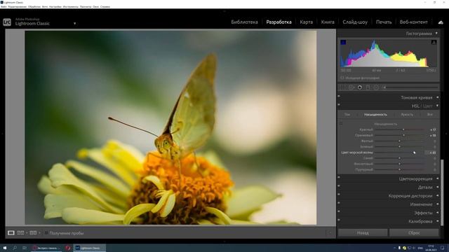Обработка фото бабочки в Lightroom цветокоррекция в Lightroom смотреть онлайн