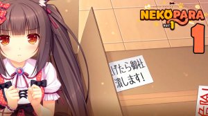 NEKOPARA Vol. 1 #1 Вам посылка!