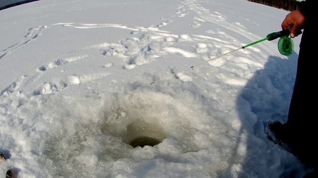 ловля окуня /рыбалка весной