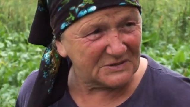 “Made in Ucrânia. Ucranianos no Paraná // «Made in Ucrania. Українці Парани» смотреть онлайн