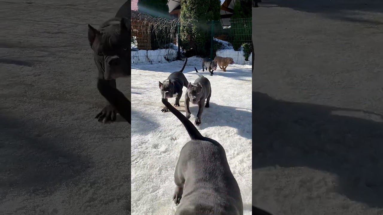 Ура! Весна! смотреть онлайн