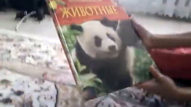 Энциклопедии РОСМЭН часть 2 смотреть онлайн