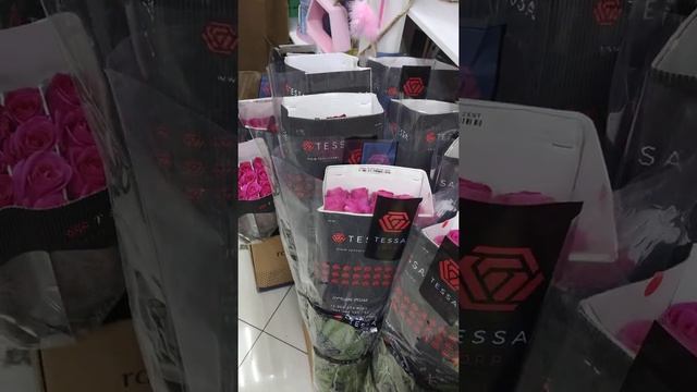 Розы которые долго стоят.Розы Голландии. Розы Эквадор. смотреть онлайн