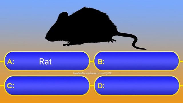 Guess The Animal | Quiz For Kids | Animal Shadow Guessing Game | 50 Questions смотреть онлайн