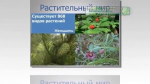 Презентация на тему Заповедники и национальные парки России и мира