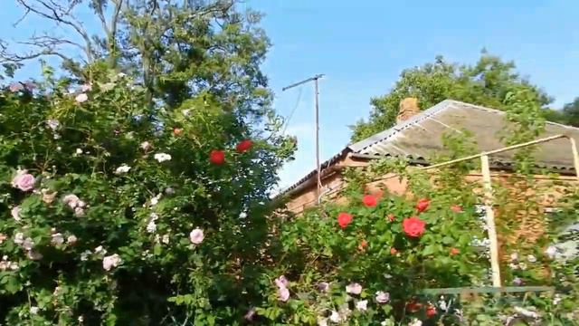 СКОРЕЙ БЫ ЗАВТРА..Я ТАК ЖДУ.. НА ПОЗИТИВЕ смотреть онлайн