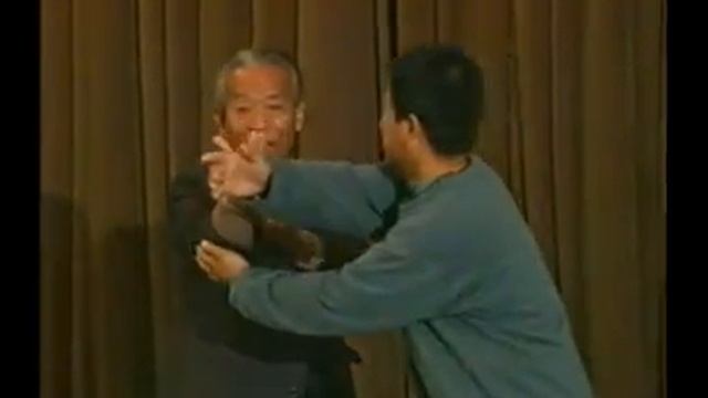 Wang Pei Sheng Push Hands (Full Ver.)