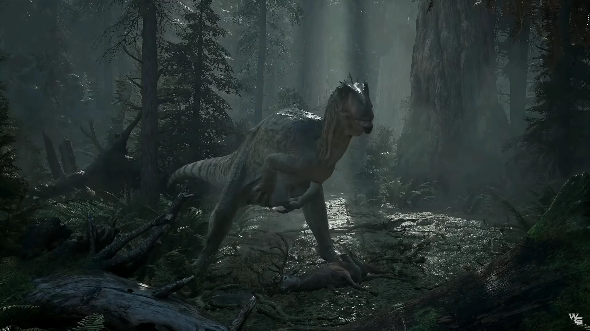 The Lost Wild - Трейлер смотреть онлайн