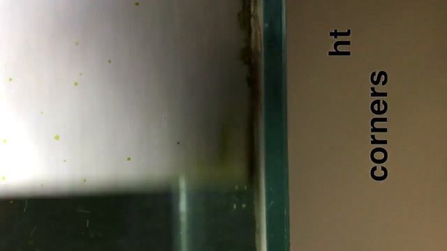 Seachem AquaVitro - The Pad смотреть онлайн