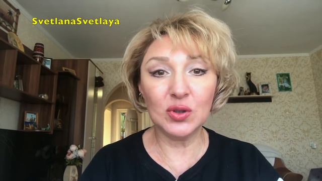 Щенки чихуахуа /покупки из Магнита/похолодало смотреть онлайн