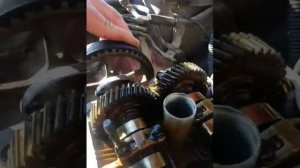 Карина е метка грм  1.6