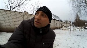 Разведение гусей//С чего начать