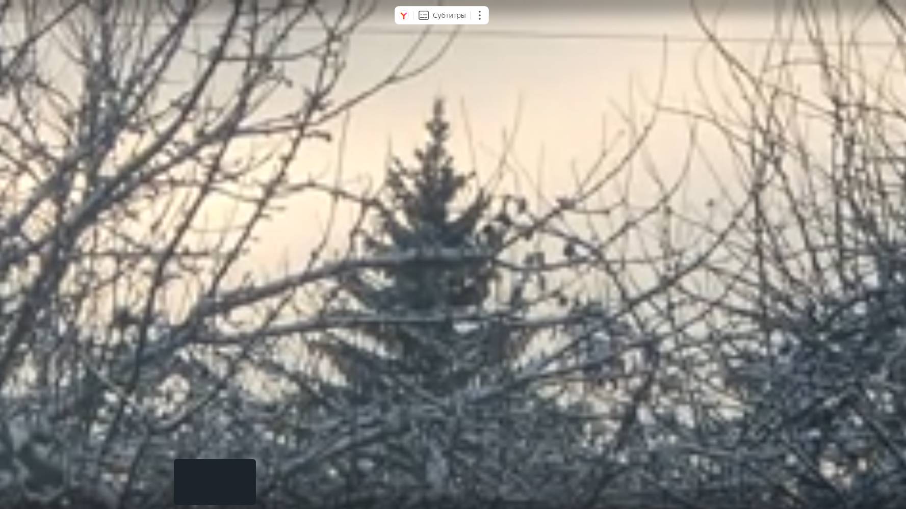 42.Зимнее утро....кормим кроликов, чистим снег. Прогулка в берёзовой роще..mp4 смотреть онлайн