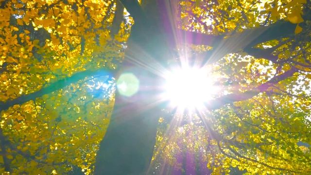 38 Медитация для собственного и чужого энергообмена. Медитации Крайона смотреть онлайн