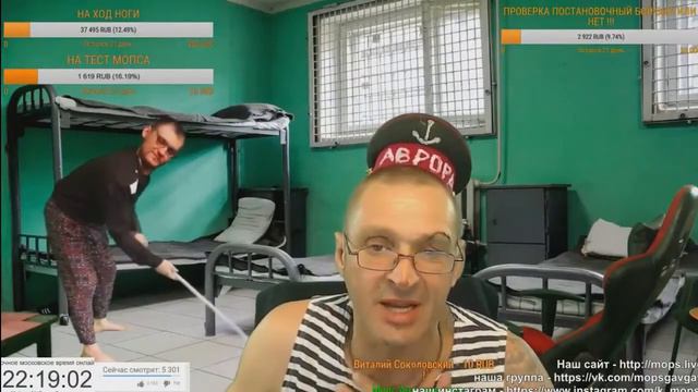 МОПС смотрит Dimaks TV и Глада Valakas смотреть онлайн